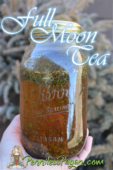 Moon tea. Things To Know About Moon tea. 